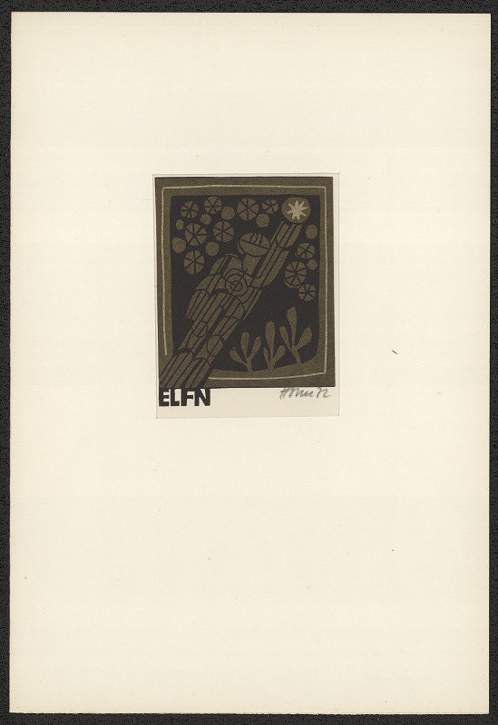 Miroslav Houra – EL FN (Frant. Nový) 