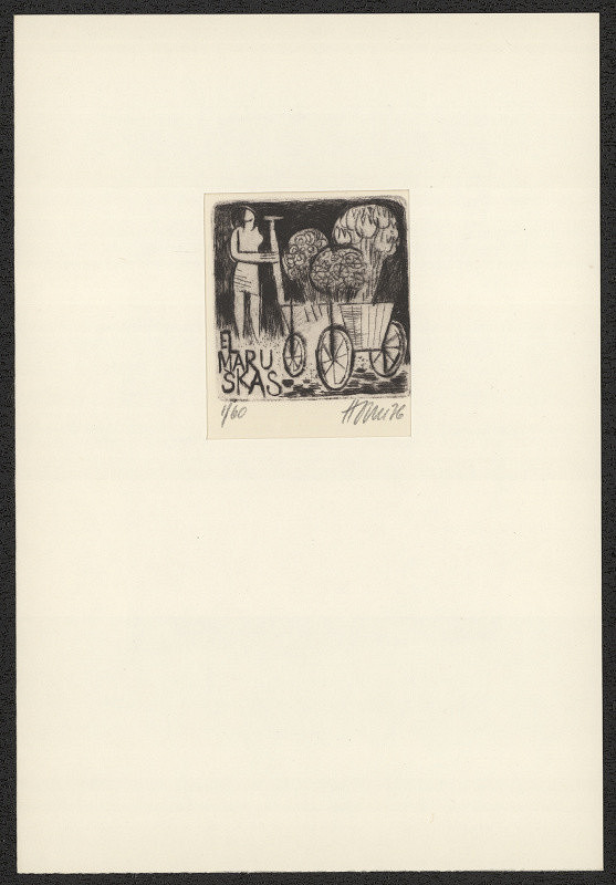 Miroslav Houra – EL Maruška S (Stará) 