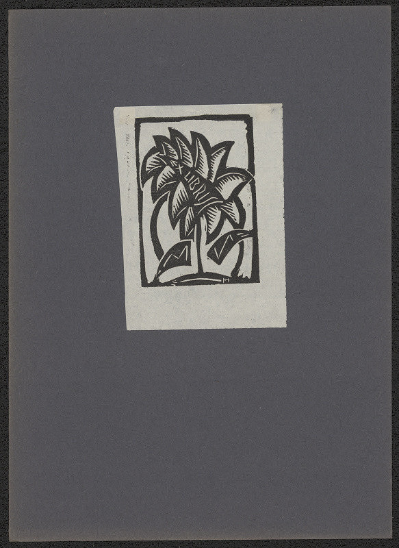 Emmerich Alois Hruška (?) – Ex libris M S 