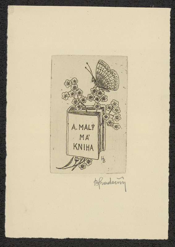 Bohumil Hradečný – A. Malý Má kniha 