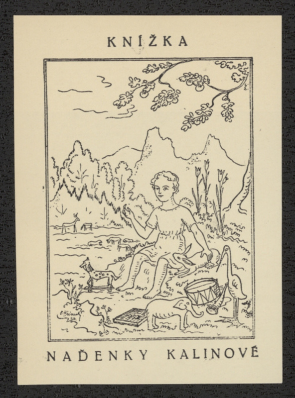 Vladislav Hřímalý – Knížka Naďenky Kalinové 