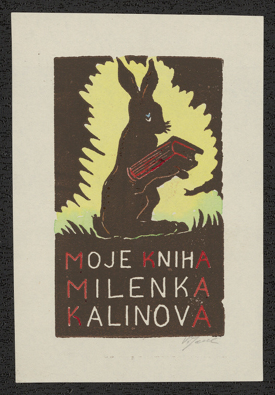 V. Janák – Moje kniha Milenka Kalinova 