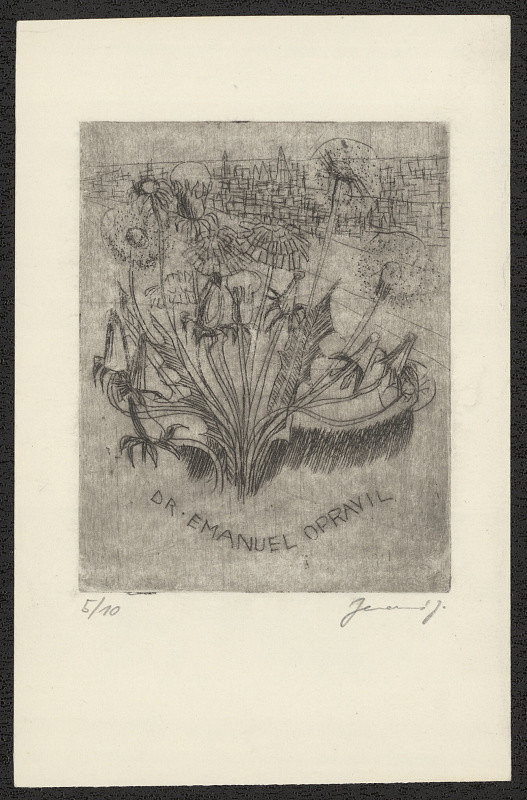 Jana Jemelková – Dr. Emanuel Opravil 