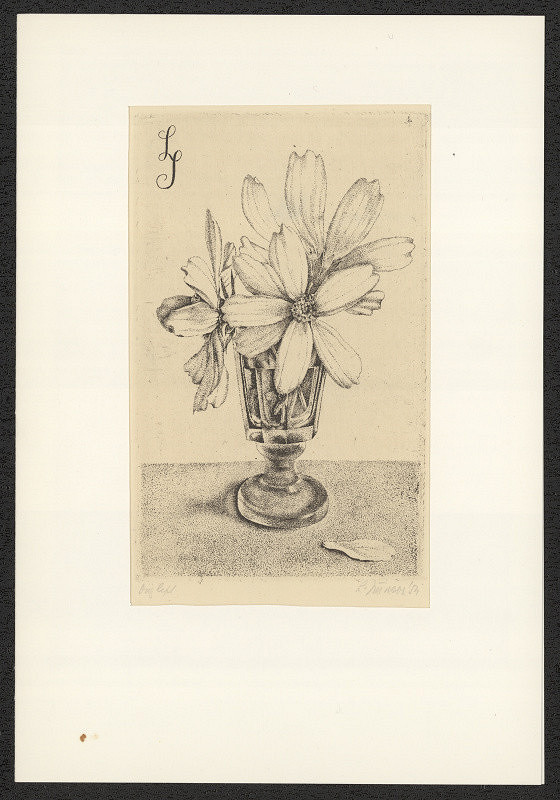 Ludmila Jiřincová – LJ (Jiřincová) 