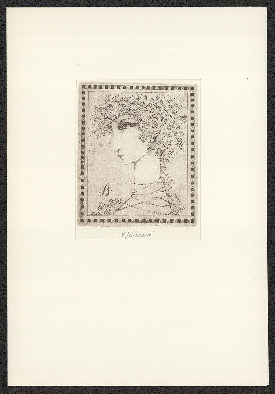 Ludmila Jiřincová – B (Václav Birhanzl) 