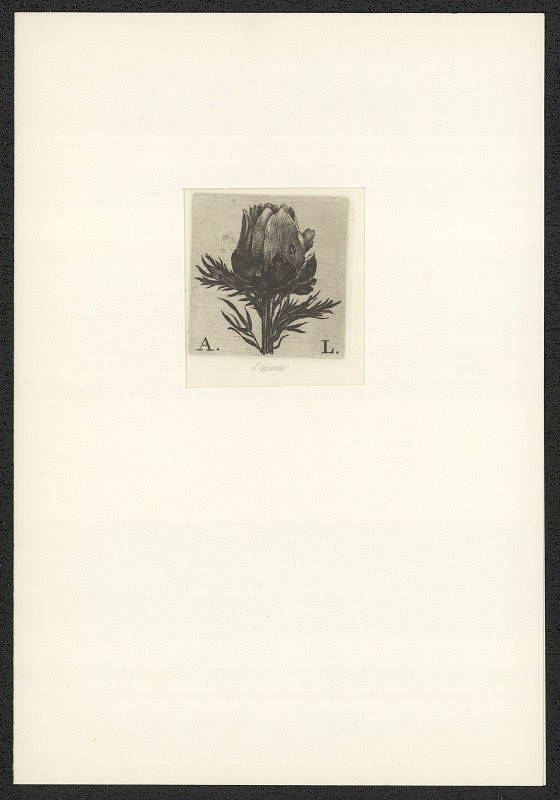 Ludmila Jiřincová – A.L.(Alexandra Lazarová) 