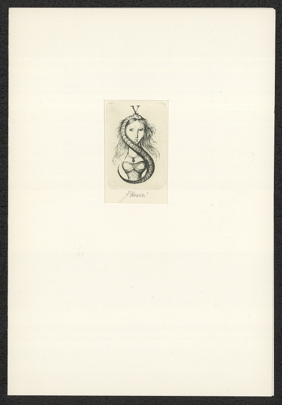 Ludmila Jiřincová – SV (Stanislav Vaník) 