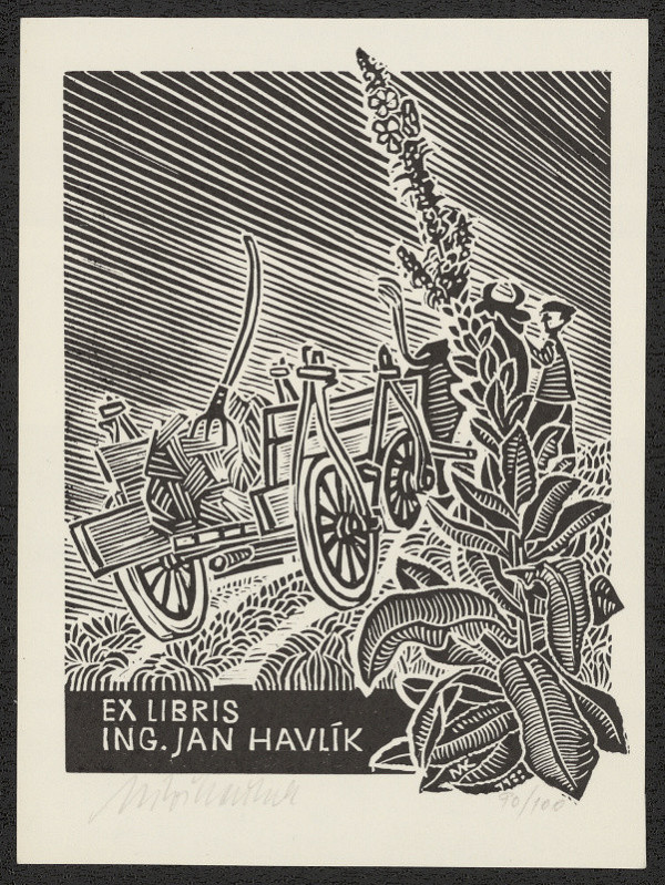 Miloš Kačírek – Exlibris Dr. Ort 