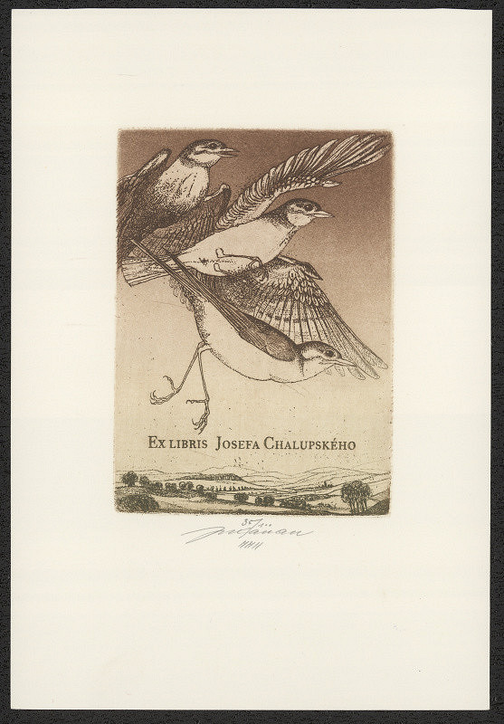 Jan Kavan – Exlibris Josefa Chalupského 