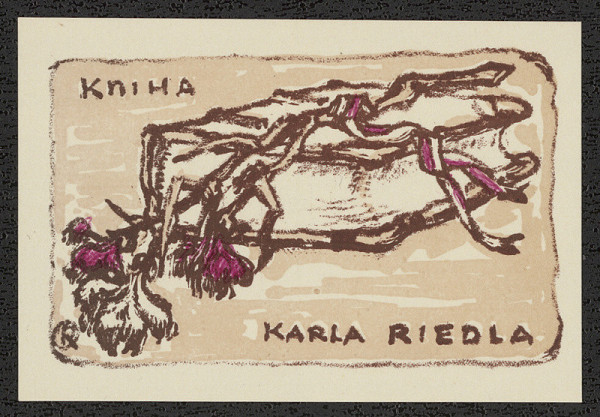 Oldřich Karel – Kniha Karla Riedla 