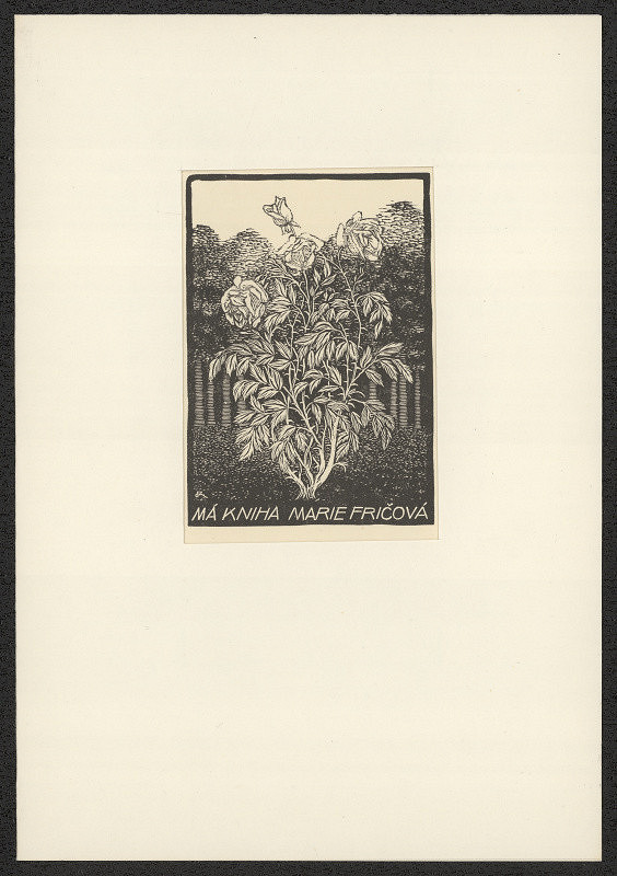 František Kobliha – Má kniha Marie Fričová 