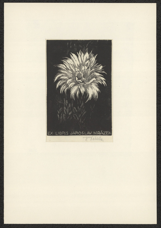 František Kobliha – Ex libris Jaroslav Mrázek 