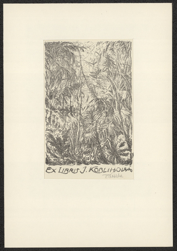 František Kobliha – Ex libris J. Koblihová 