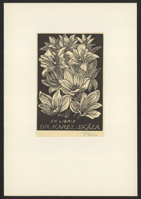 František Kobliha – Ex libris Dr. Karel Skála 