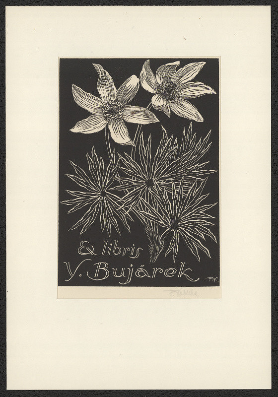 František Kobliha – Ex libris V. Bujárek 