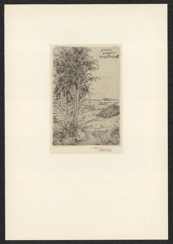 František Kobliha – Z knih Boženy Rybičkové 