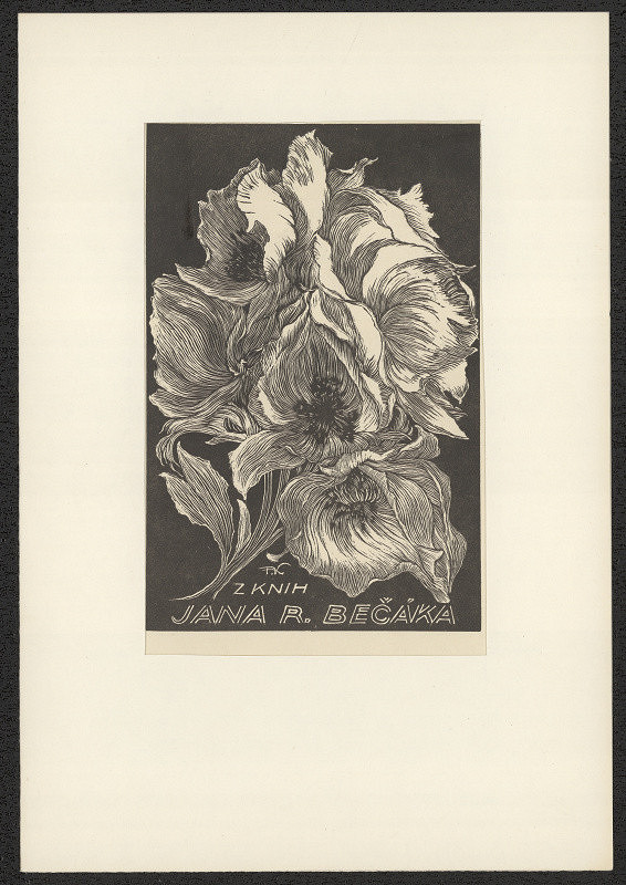 František Kobliha – Ex libris Jana R. Bečáka 