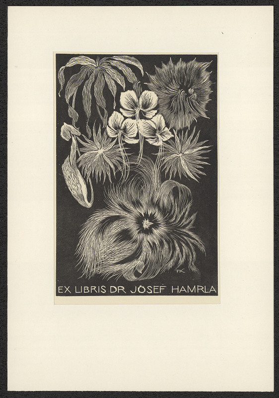 František Kobliha – Ex libris Dr. Josef Hamrla 