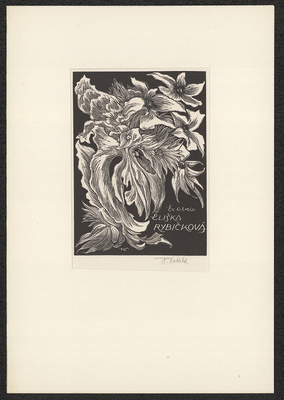 František Kobliha – Ex Libris Eliška Rybičková 