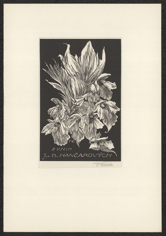 František Kobliha – Z knih J.a B. Hančarových 