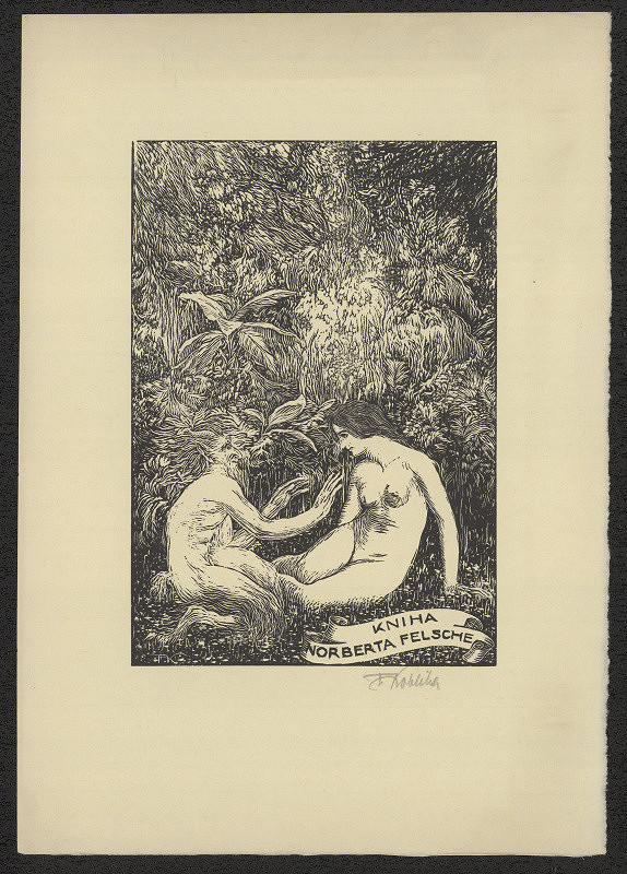 František Kobliha – Kniha Norberta Felsche 