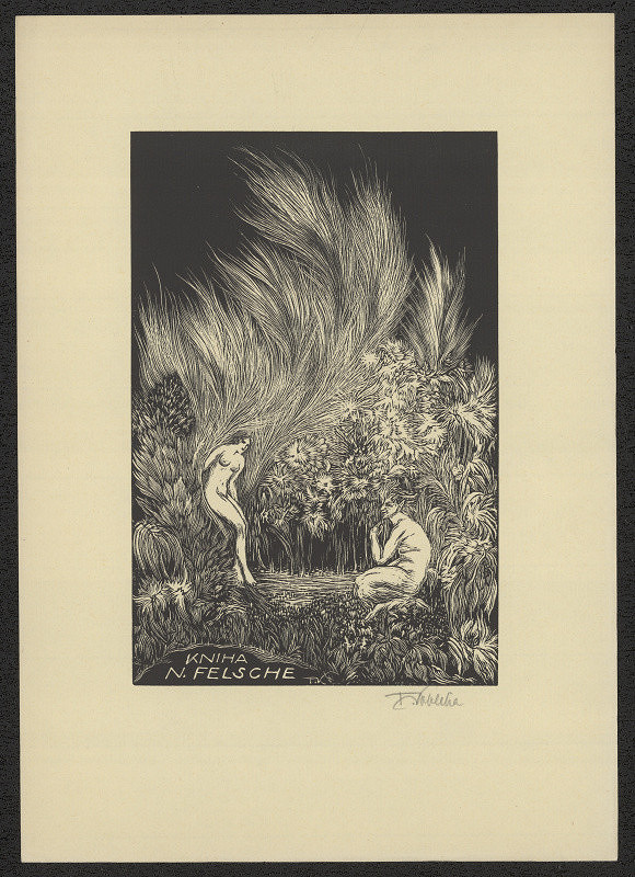 František Kobliha – Kniha N. Felsche 