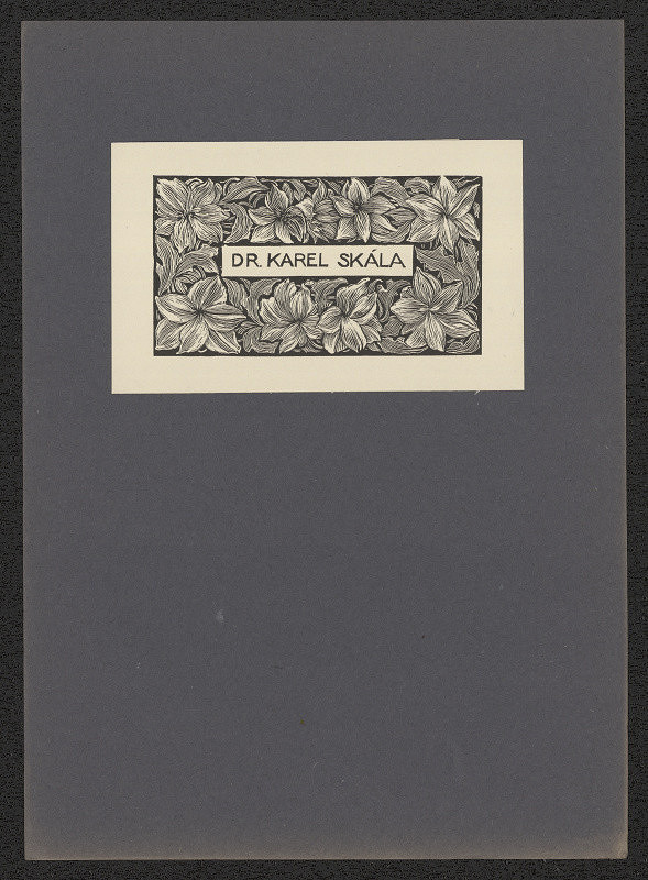 František Kobliha – Dr. Karel Skála 