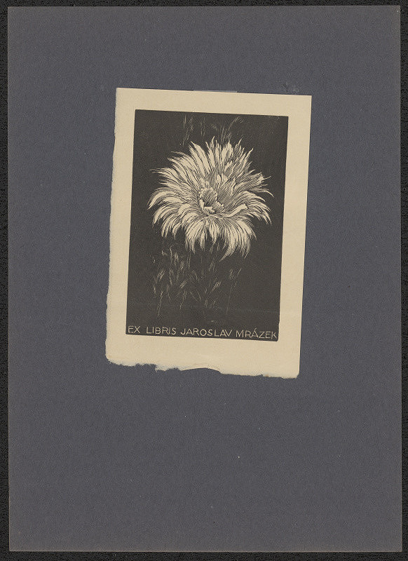 František Kobliha – Ex libris Jaroslav Mrázek 