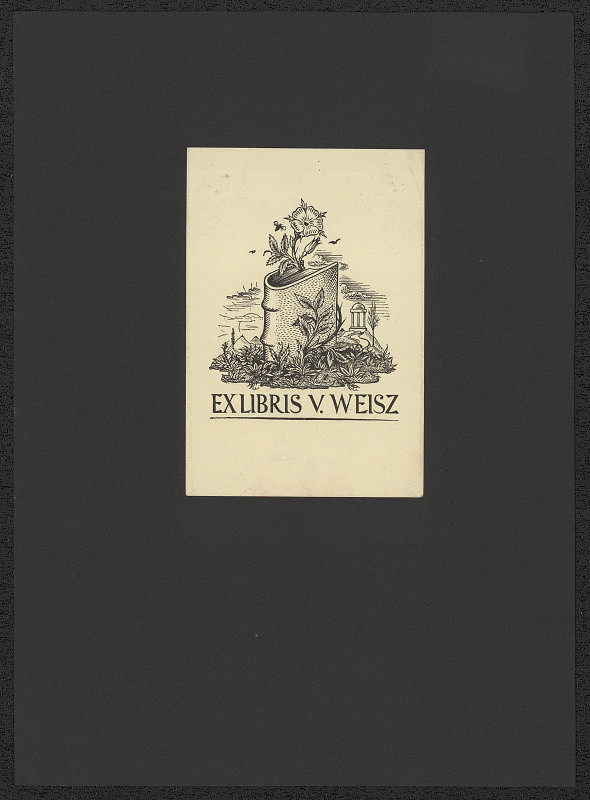 Karel Kinský – Ex libris V. Weisz 