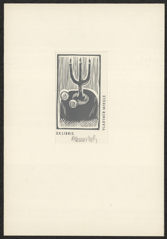 Vladimír Komárek – Vladimír Mikule 