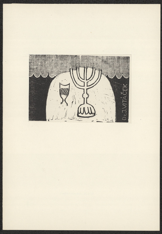 Vladimír Komárek – Dr. J. Vitáček 