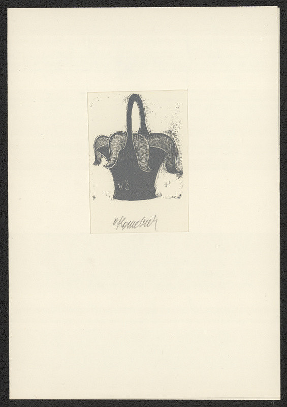 Vladimír Komárek – VŠ (V. Šmidt) 