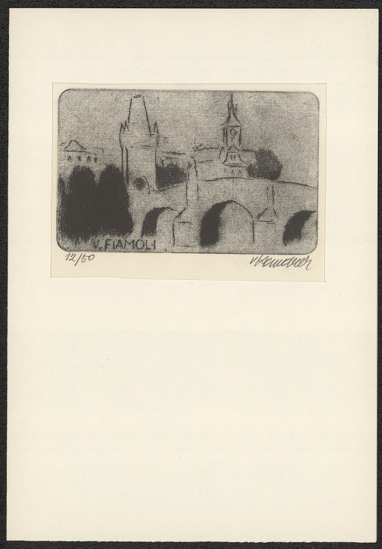 Vladimír Komárek – V. Fiamoli 