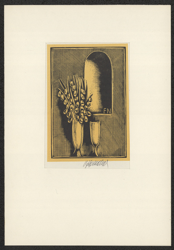 Vladimír Komárek – FN (F. Nový) 