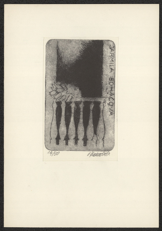 Vladimír Komárek – Jarmila Boháčová 