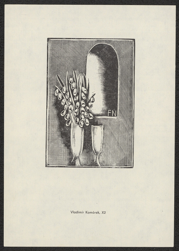 Vladimír Komárek – FN (František Nový) 