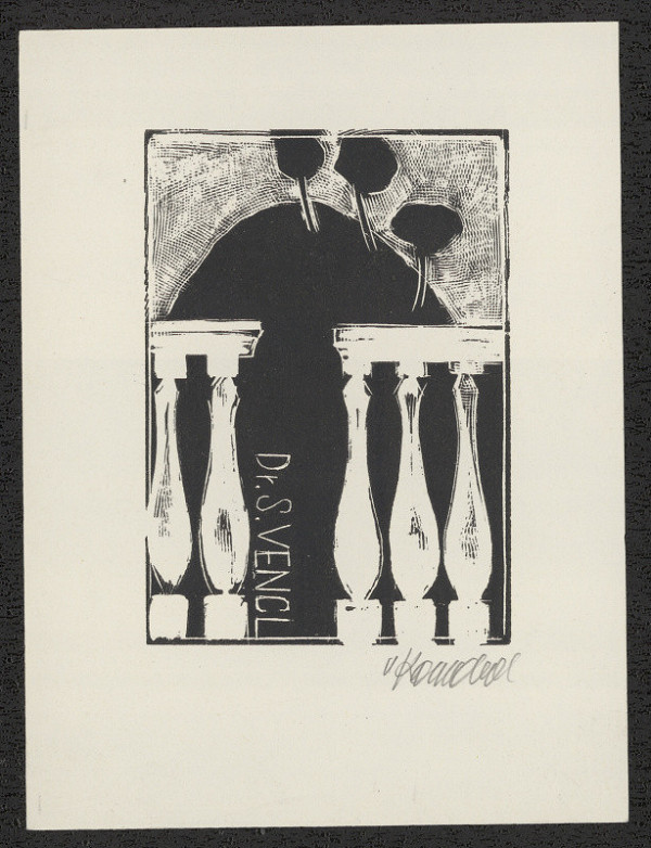 Vladimír Komárek – Dr. S. Vencl 