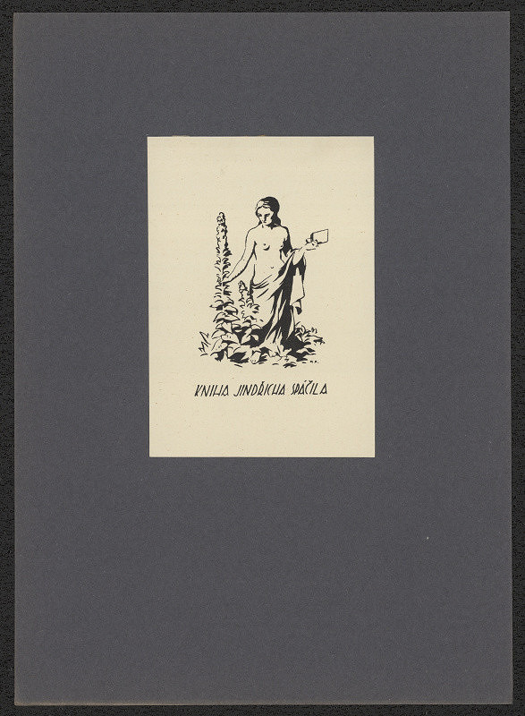 Marcel Krasický – Kniha Jindřicha Spáčila 