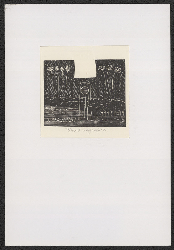 Jana Krejčová – EXL J. Rajlich 