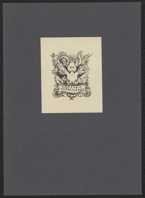 Rudolf (Ruda) Kubíček – Jsem z knih Josefa Štěrby 