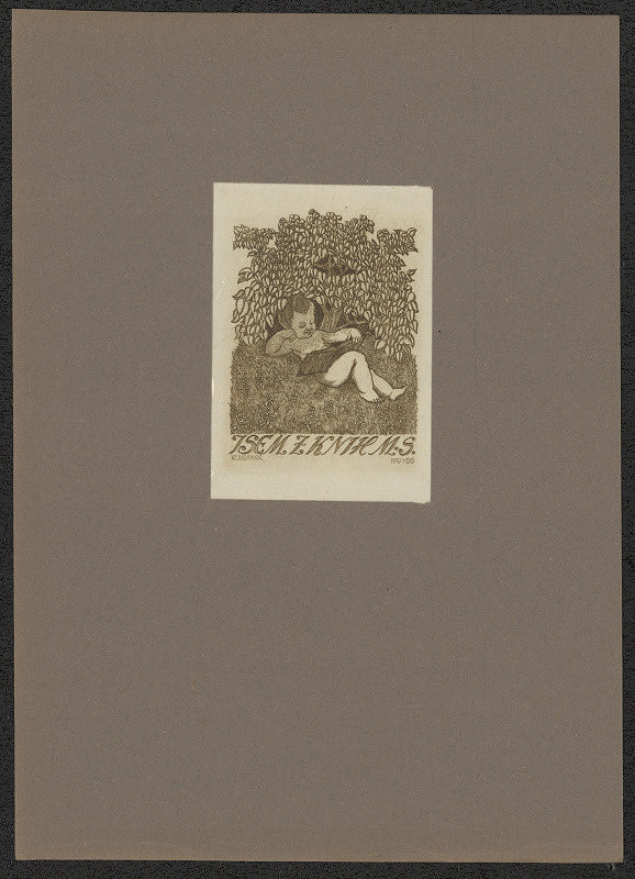 Stanislav Kulhánek – Jsem z knih M. S. 