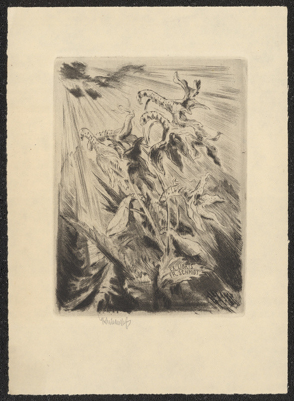 Jaroslav Lukavský – Ex libirs Fr. Schmidt 