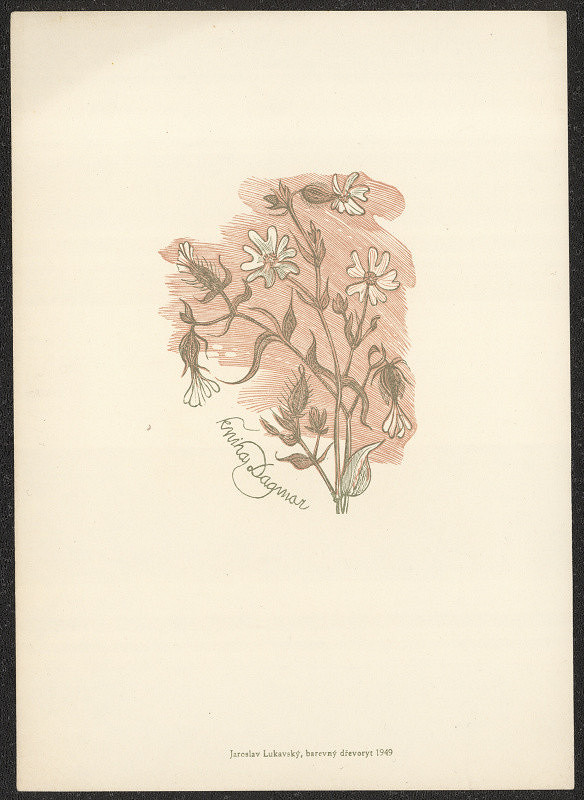 Jaroslav Lukavský – kniha Dagmar 