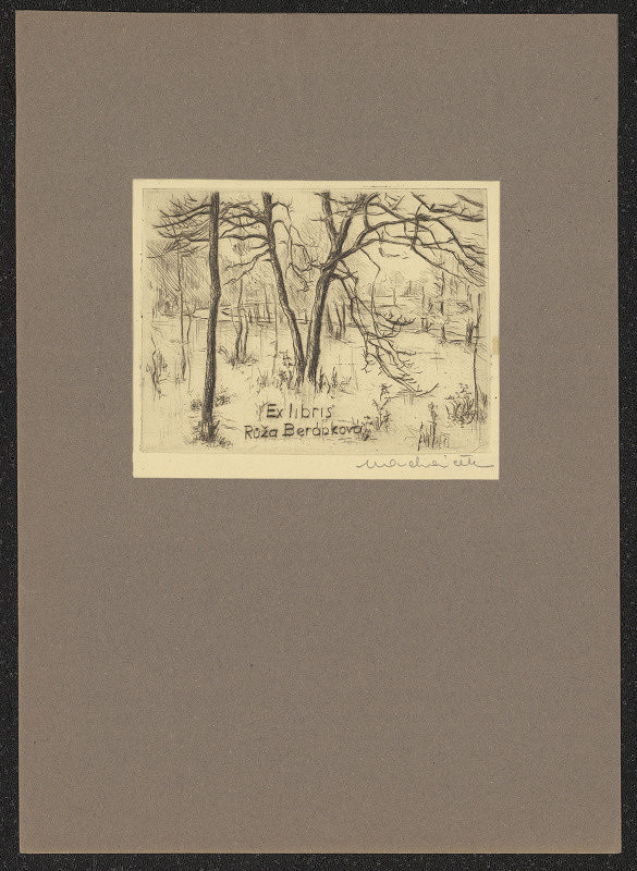 Macháček – Ex libris Růža Beránková 