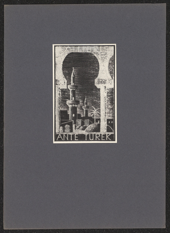 Vlad. Mayer – Ante Turek 