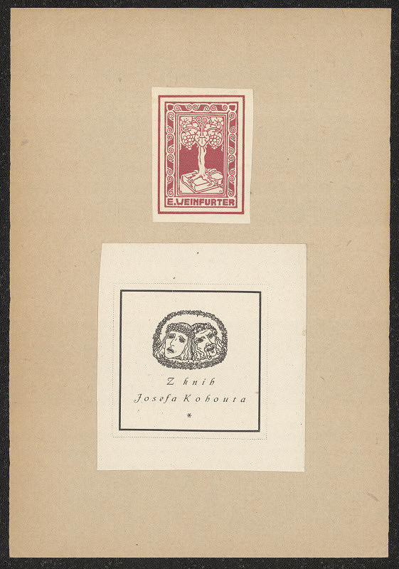 D. Mayer – E. Weinfurter 