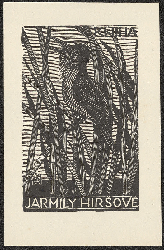 Anna Macková – Kniha Jarmily Hiršové 