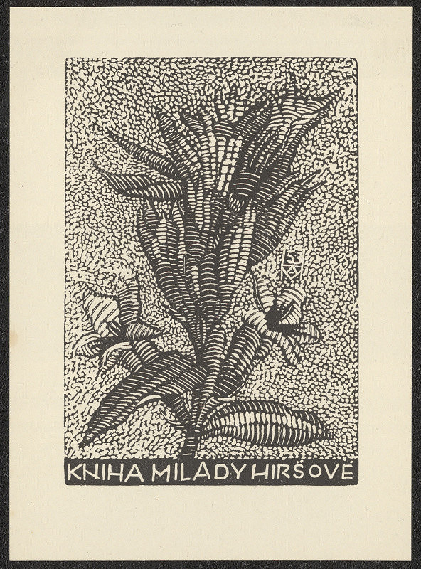 Anna Macková – Kniha Milady Hiršové 