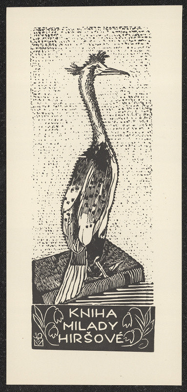 Anna Macková – Kniha Milady Hiršové 