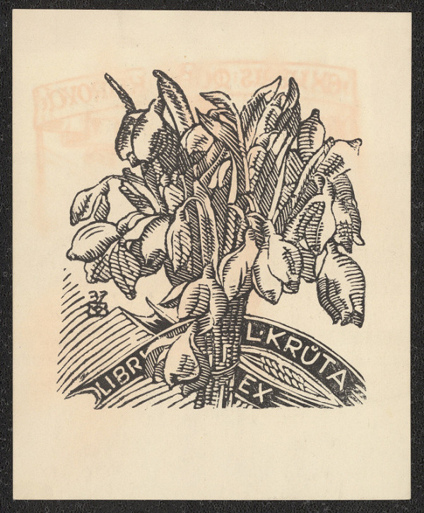 Anna Macková – Ex libris L. Krůta 